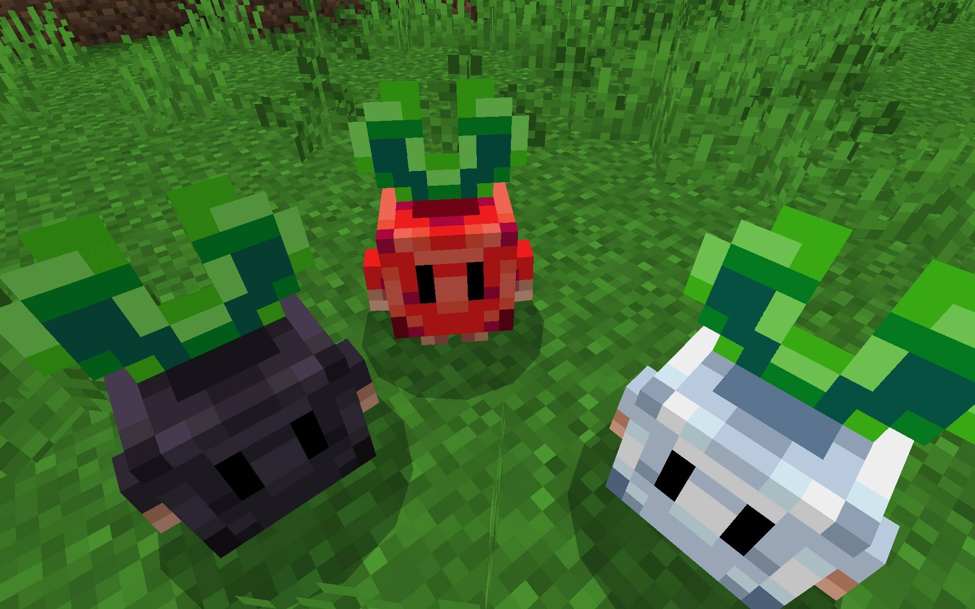 Radishtopia — screenshot 2