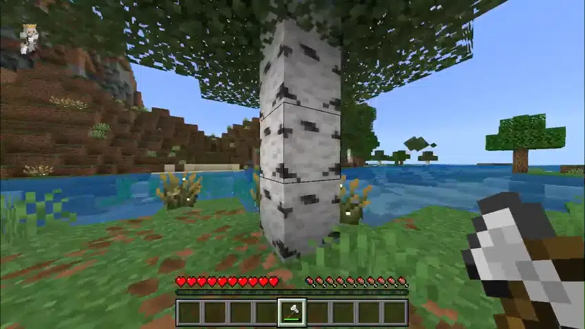 [Why Not] Chop Chop — screenshot 1