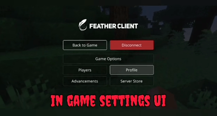 Feather Client — screenshot 3