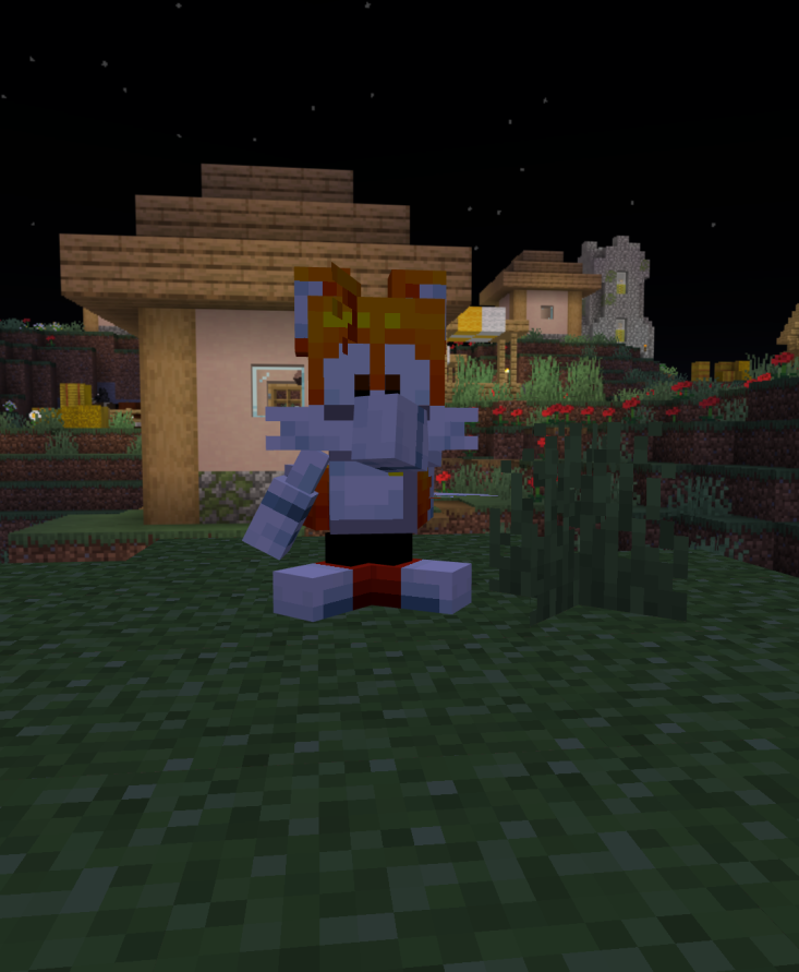 Alphs sonic Player model Bedrock — screenshot 2