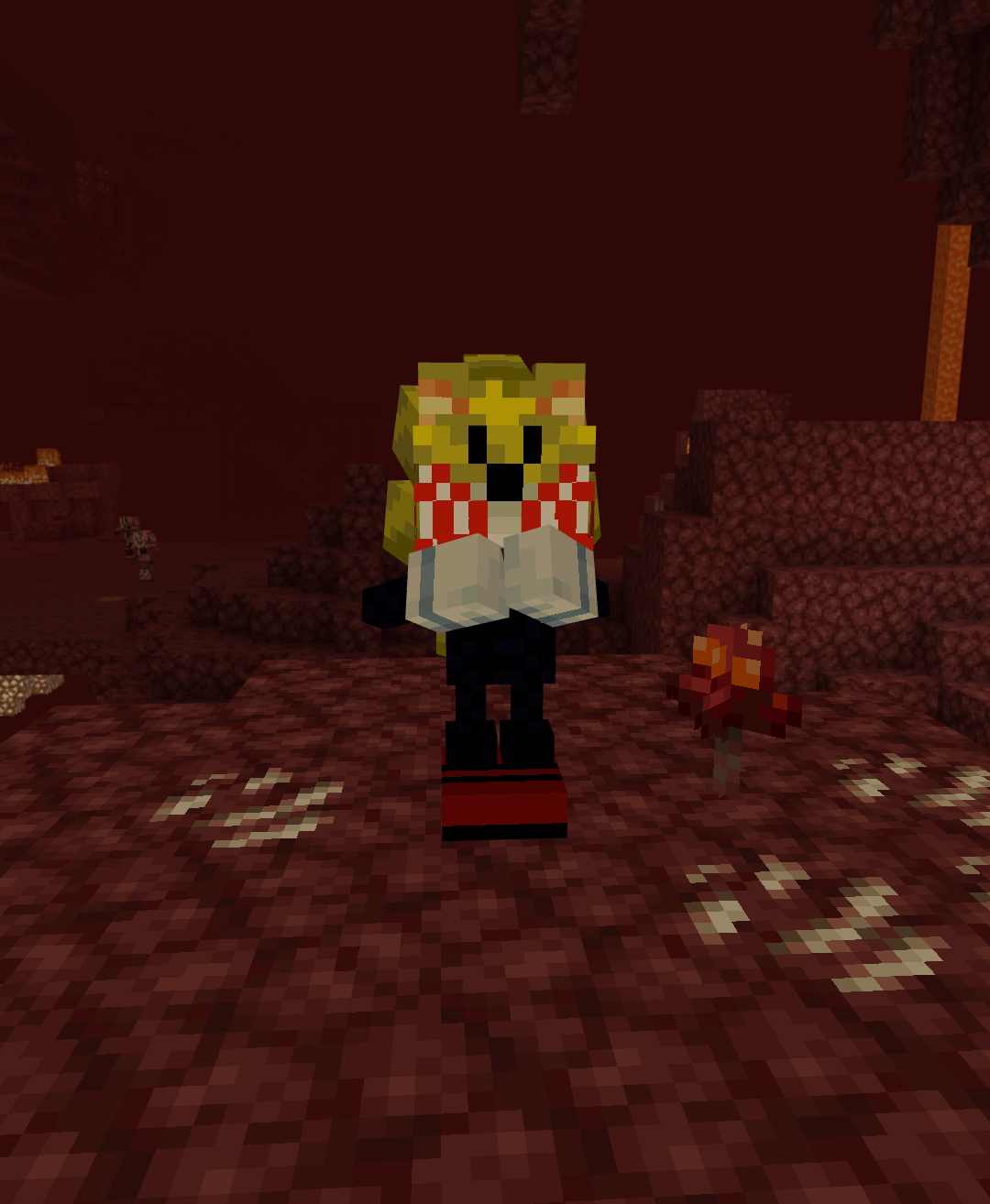 Alphs sonic Player model Bedrock — screenshot 3