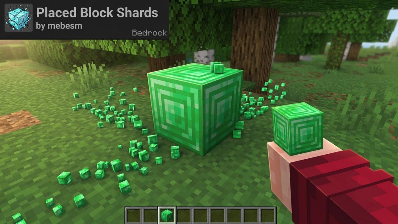 Placed Block Shards — screenshot 1