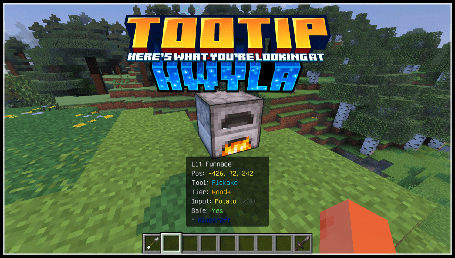 Tooltip What's Here Add-on — screenshot 1