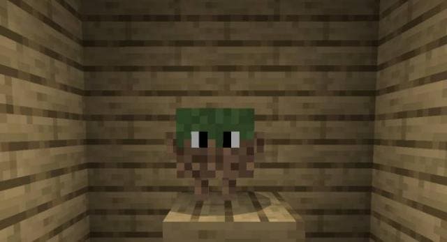 Pets Blocks