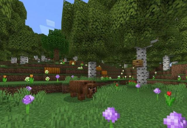 Quentin's Vanilla Additions