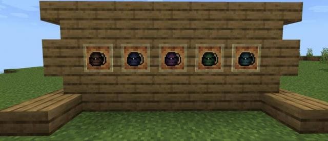 Expedition Backpacks