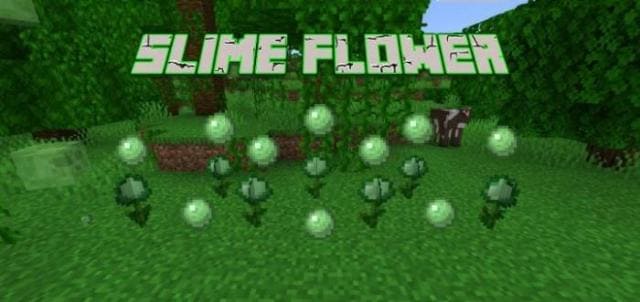 Slime Flower