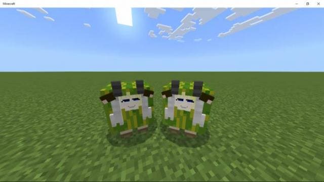 Watamelon