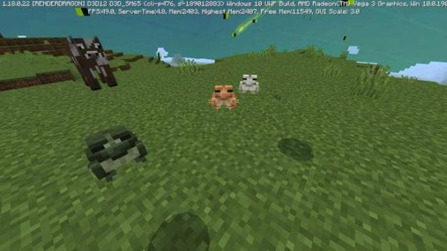 Frogs Wild Update Concept