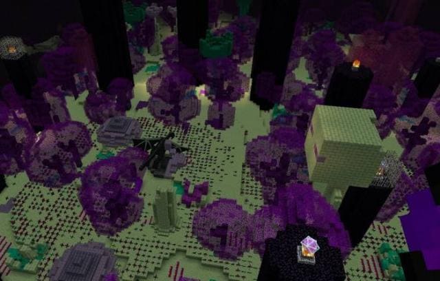 Survivalcraft End Expansion