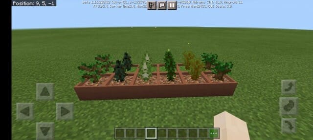 Botany Pots