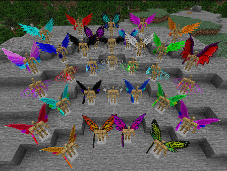 Elytra Variants