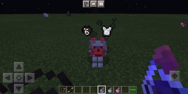 Wolf Armor & Storage