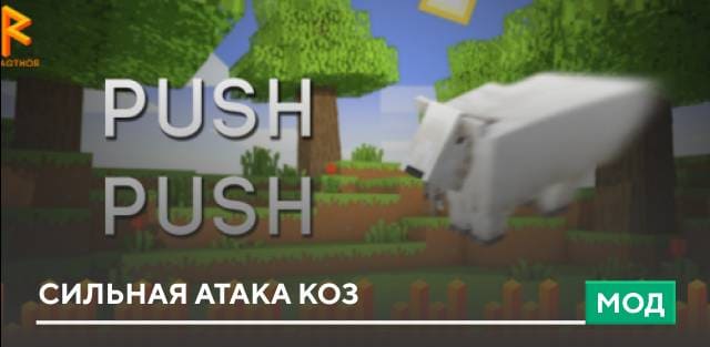 Push Push