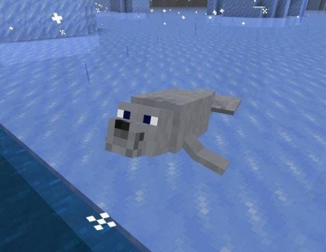 Animals Beginning With 'S'