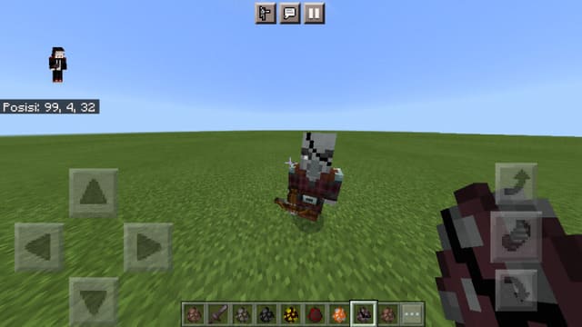 Pirate Pillages