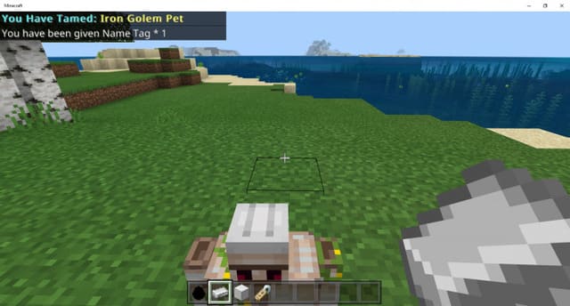 More Pets Mc
