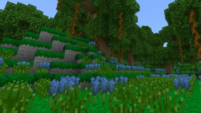 Lush Mossy Biome