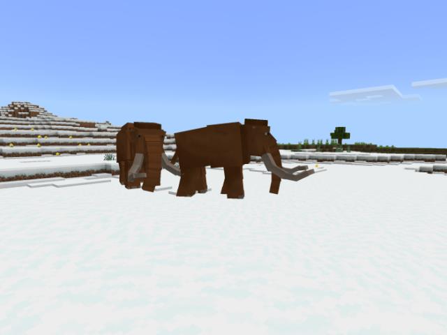 Cenozoic Reborn