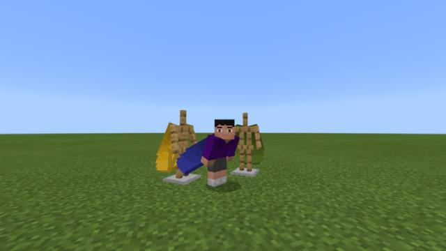 Colored Elytras
