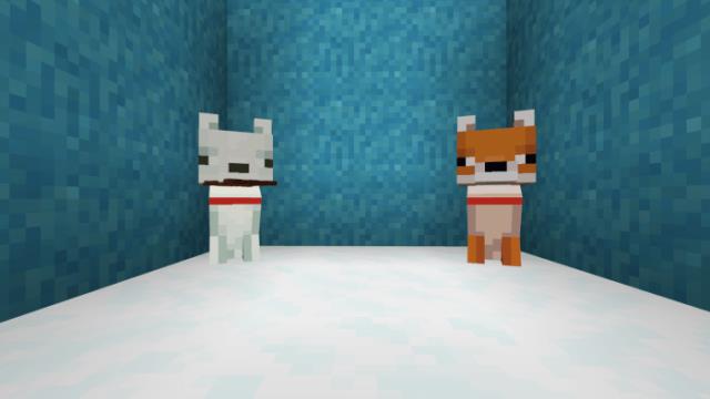 Tamable Foxes 2