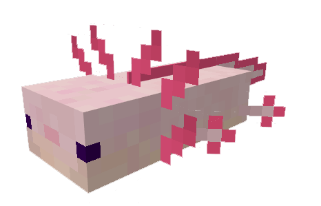 Axolotls
