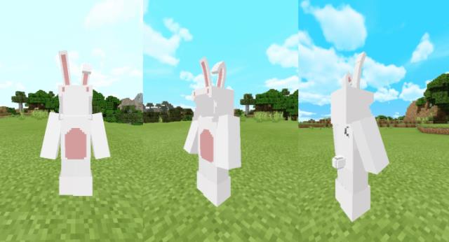 3D Bunny Costumes