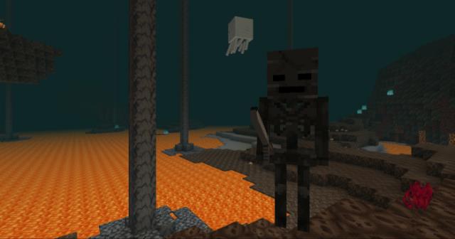 Nether Mobs Spawn