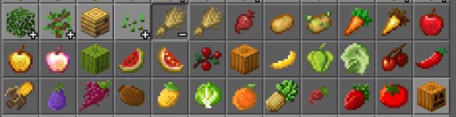 FruitsAndVegetables
