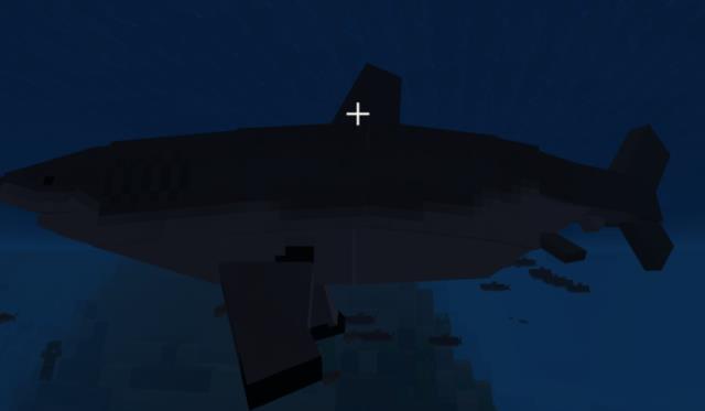 Shark Biology: The Classics Update