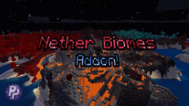 Overworld Nether Biomes