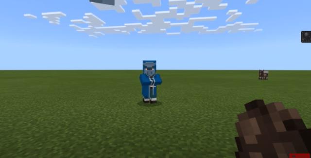 Minecon Mobs 2020 Concept