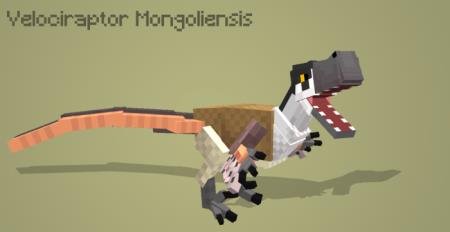 Raptors Project