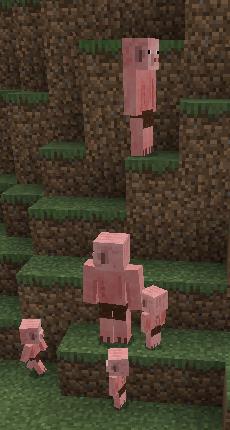 The Pigmen