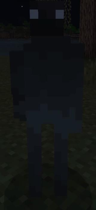 Damp Revenge