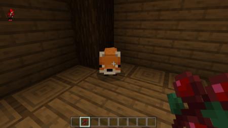 Tamable Foxes