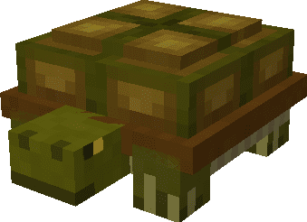 Land Turtle