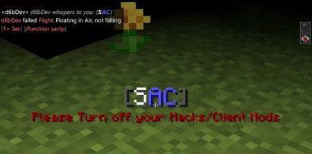 Simple Anti Cheat