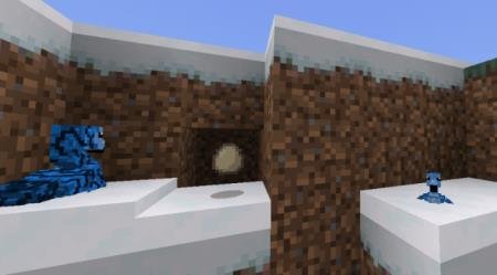 Woody's Fossils