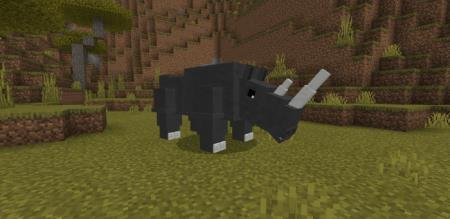 Rhino