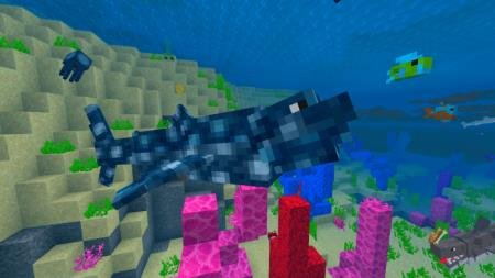 Whale Shark