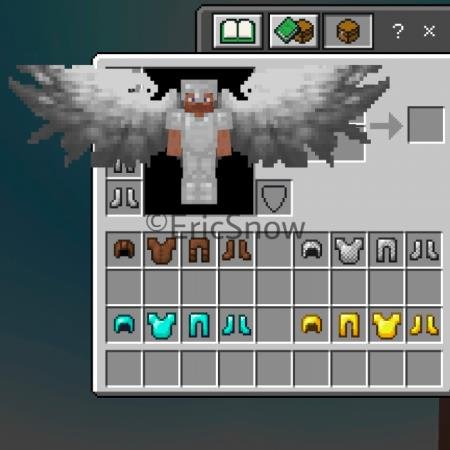 Wings On Armor