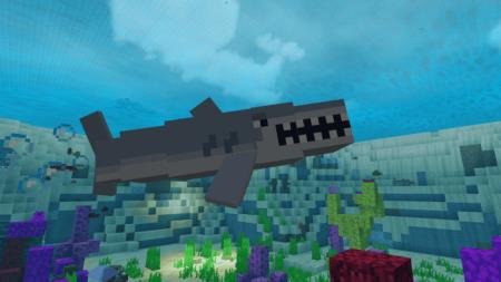 Shark