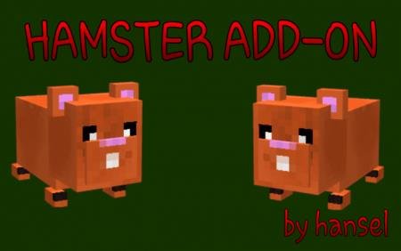 Hamster