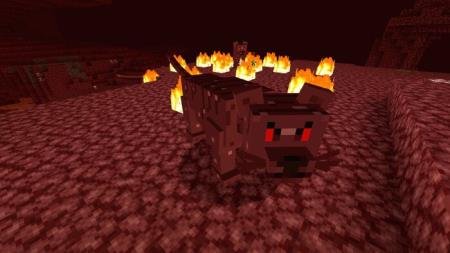 NETHERCATS