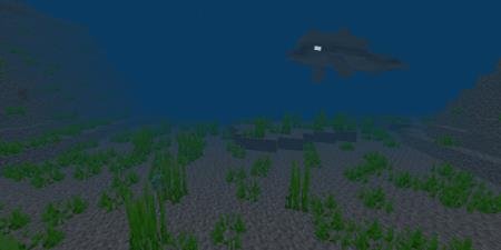 Megalodon