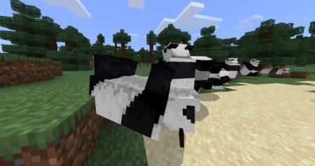 Rolling Pandas
