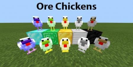 Ore Chickens