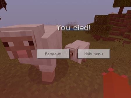 Animal Attack