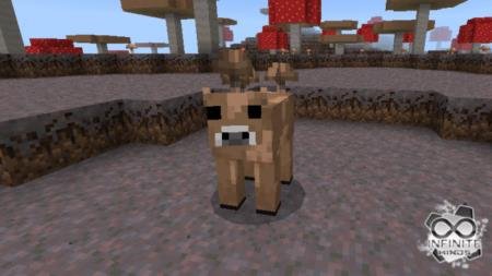 Brown Mooshroom